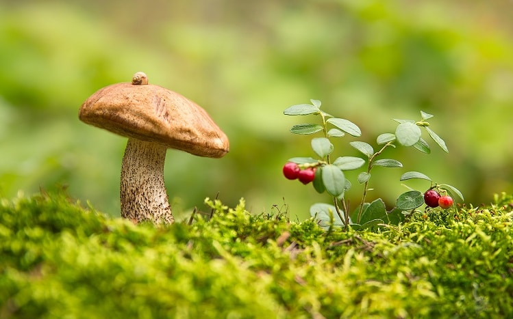 Яке свято 15 вересня та хто відзначає сьогодні іменини