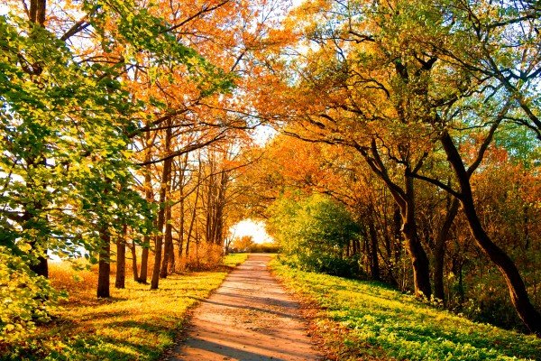 Начало недели принесет осенью прохладу в Украине: прогноз погоды на 9 сентября