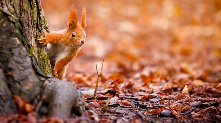 Хто святкує іменини 8 вереcня та чим запам'ятався цей день в історії