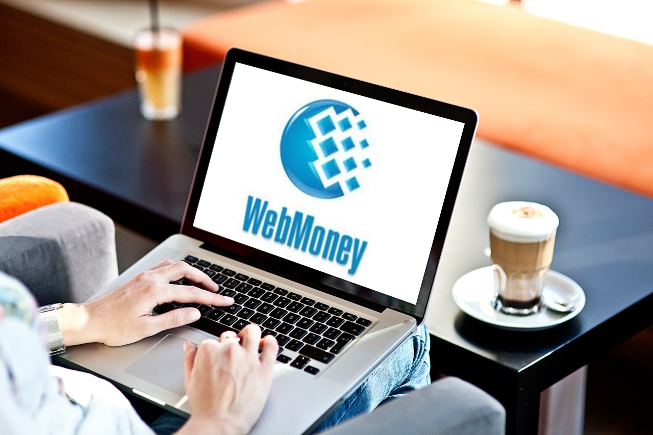 Підпільні брокери Webmoney фінансували російську агентуру в Україні, злочинців викрило СБУ (фото)