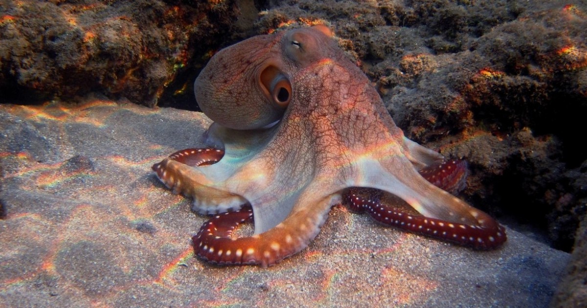 Яке свято 8 жовтня та хто відзначає сьогодні іменини