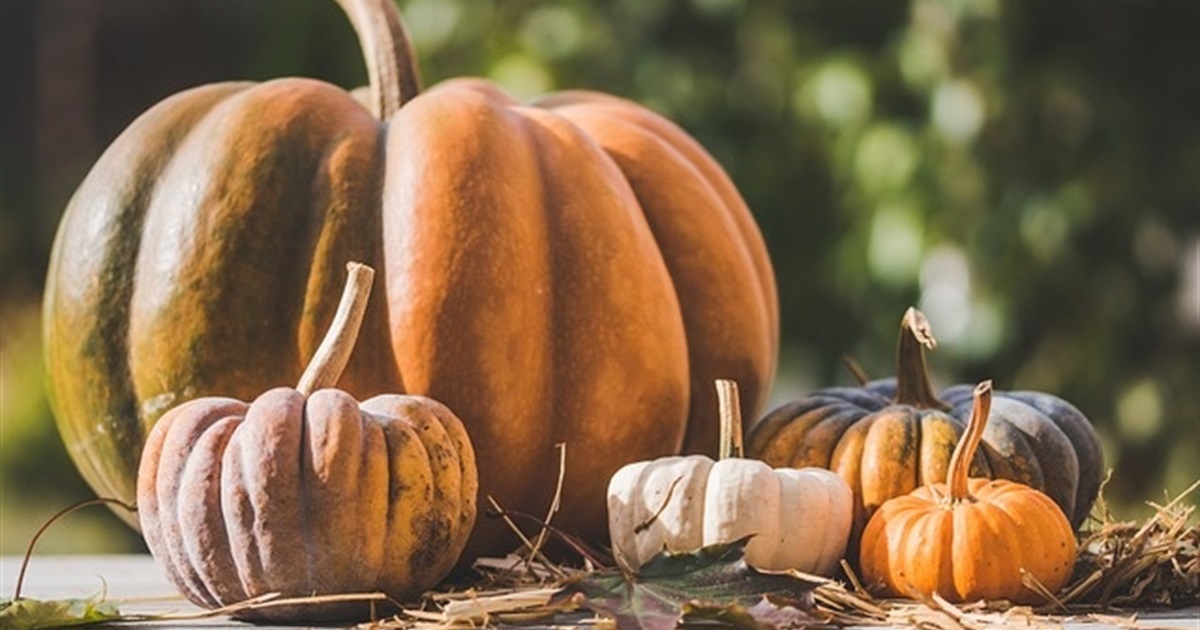 Яке свято 24 жовтня та хто відзначає сьогодні іменини