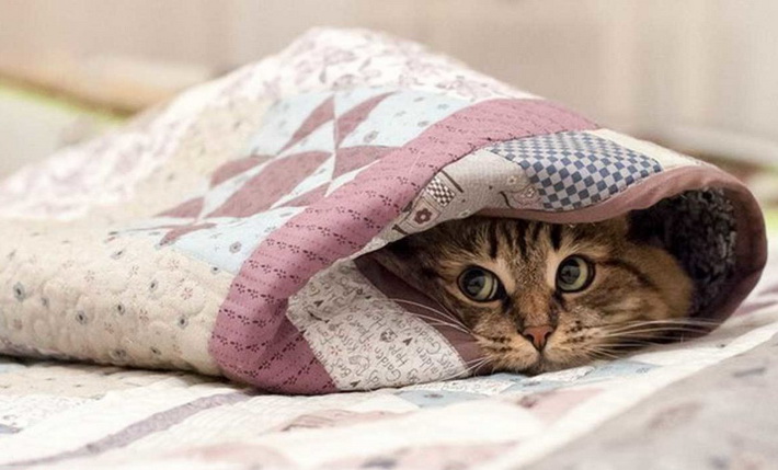 Холодно, но без осадков будет в Украине до конца недели – синоптик