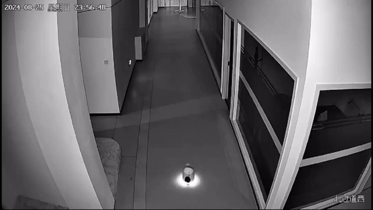 У Китаї робот "підняв повстання" на виставці: люди занепокоєні