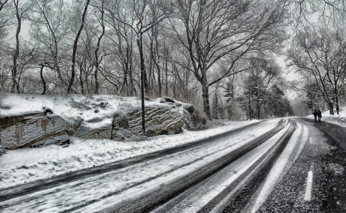 Снег, мороз и туманы: прогноз погоды в Украине на 30 ноября – 1 декабря