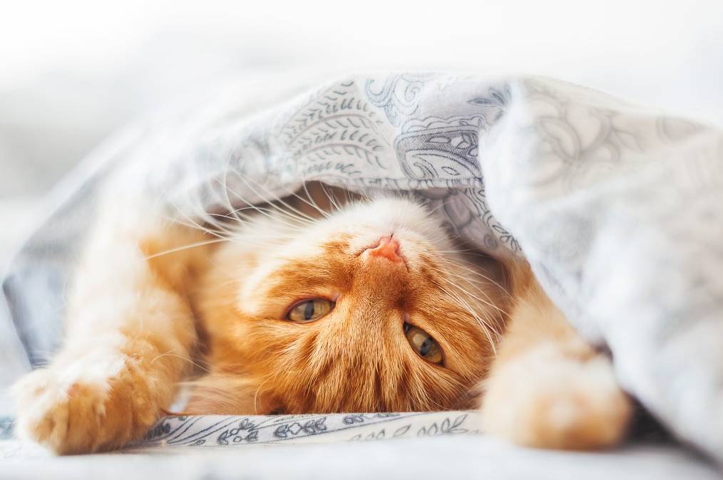 Ожидается похолодание: прогноз погоды на 3 ноября.