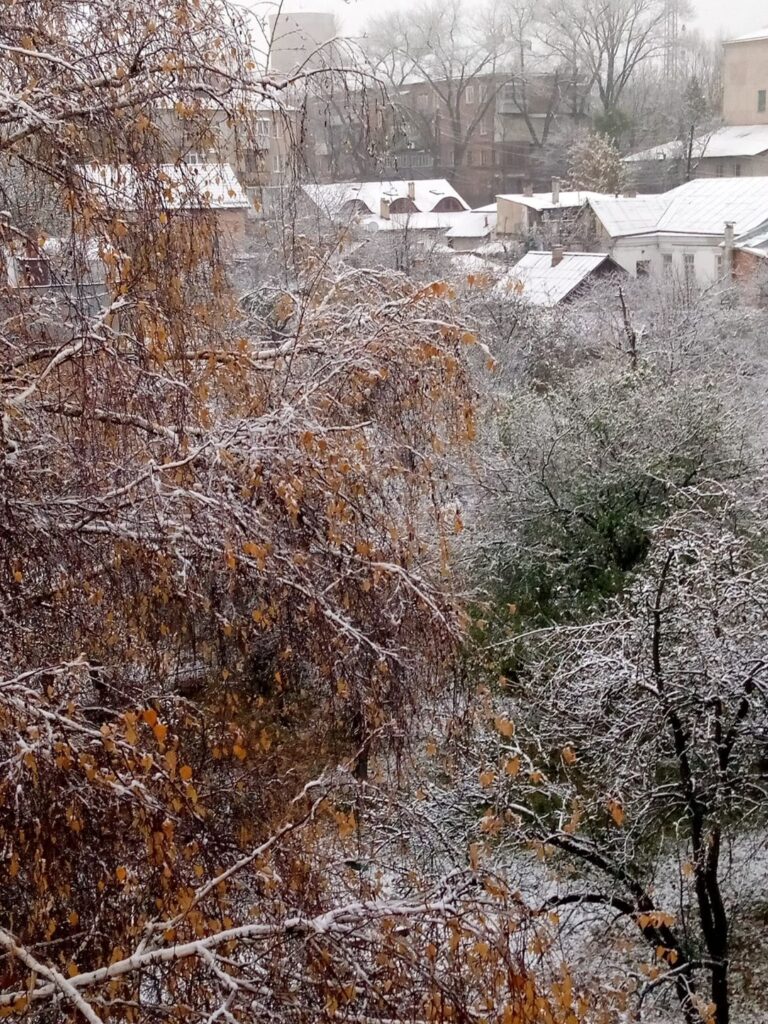 Украину засыпало снегом (фото)