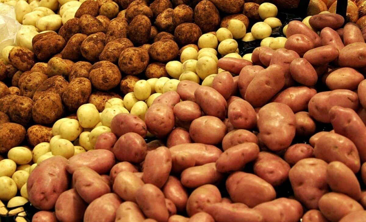 В Украине подешевел картофель после стремительного роста цен