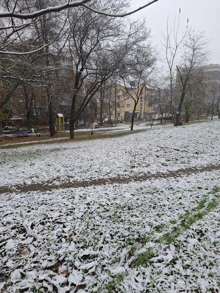 Украину засыпало снегом (фото)