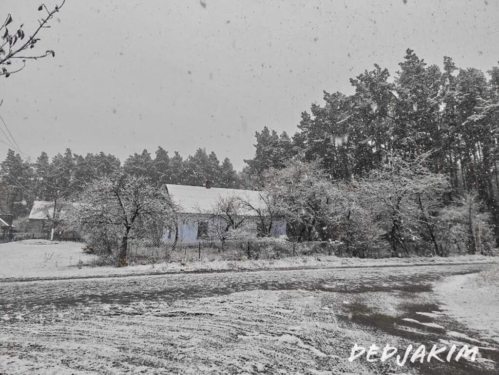Украину засыпало снегом (фото)