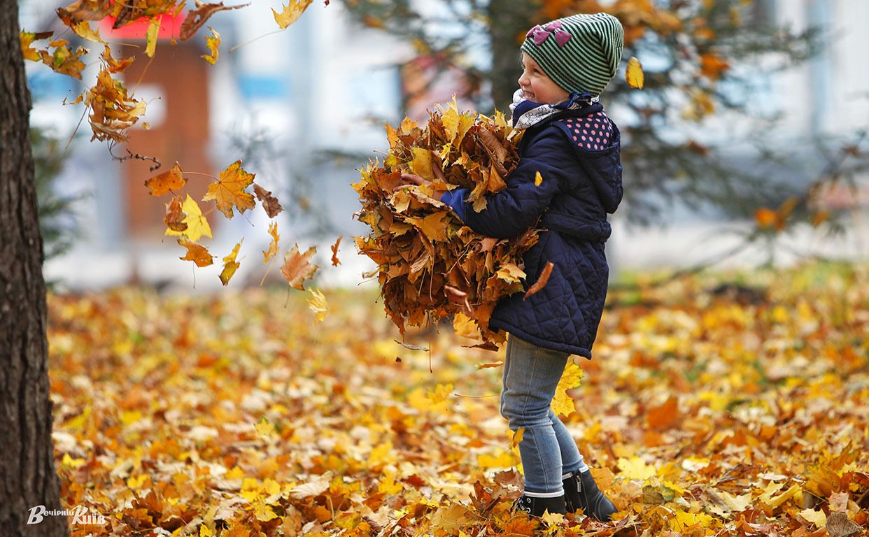 Тепло та без опадів: прогноз погоди на 16 листопада