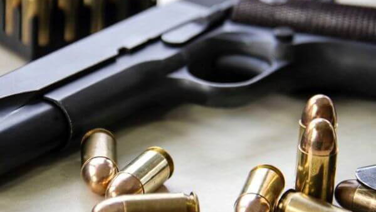 МВС пояснило порядок декларування зброї: що потрібно знати