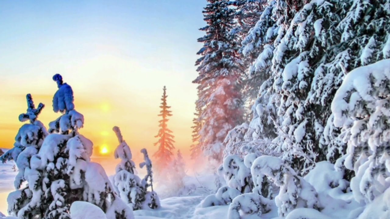 Зима на пороге: синоптики прогнозируют снегопады, гололедицу и постепенное похолодание