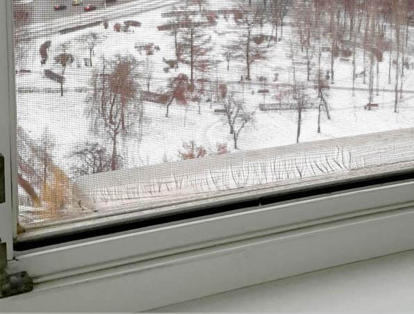 Нужно ли снимать на зиму москитные сетки и как их хранить