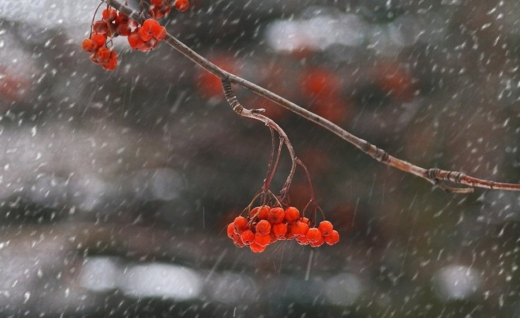 Місцями мокрий сніг та дощ: прогноз погоди на 27 листопада