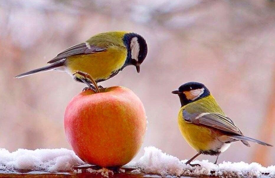 Ноябрь будет достаточно влажным и прохладным – прогноз синоптика