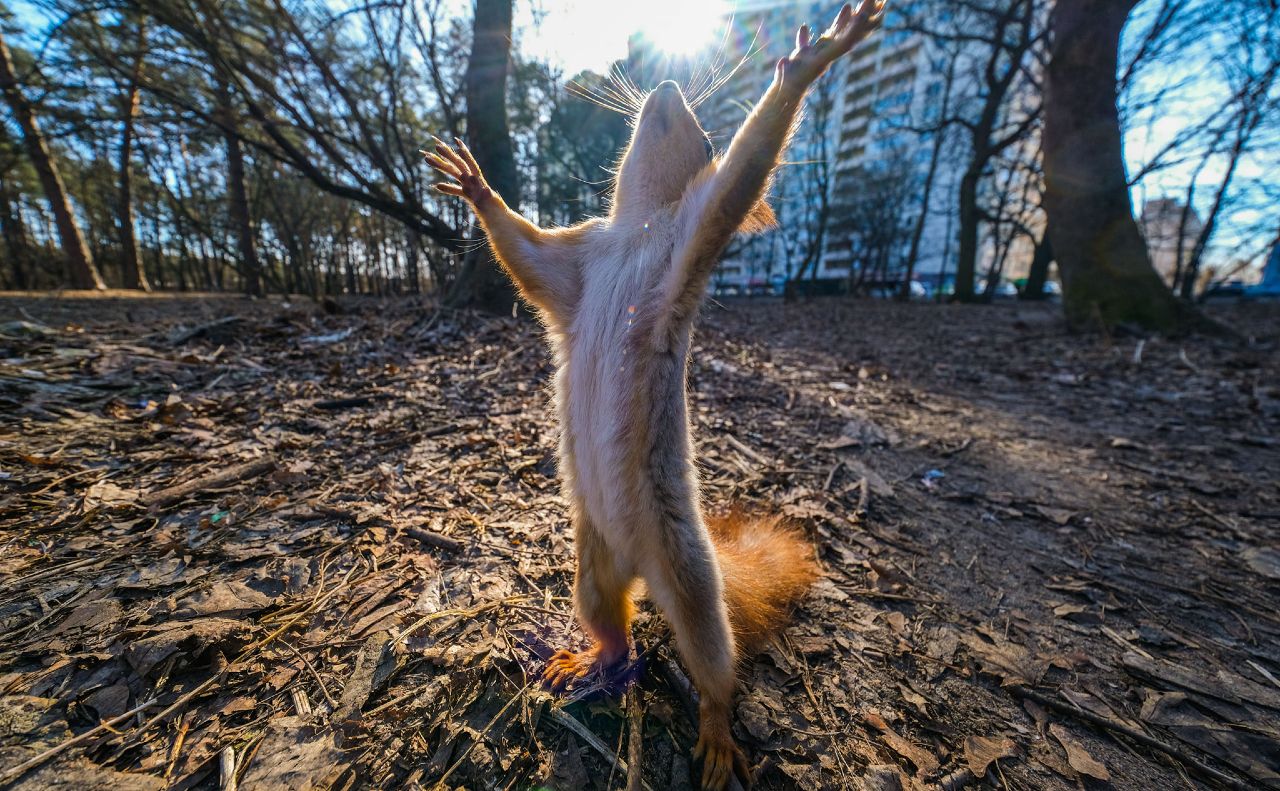 На выходных в Украине станет теплее: солнечно и почти без дождей