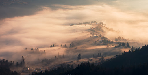 Прогноз погоды на выходные: без осадков, туманы и умеренное тепло