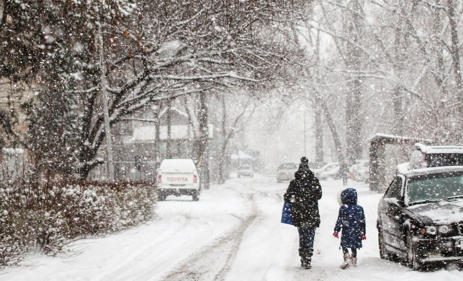 Мокрий сніг та дощ: прогноз погоди на 19 грудня