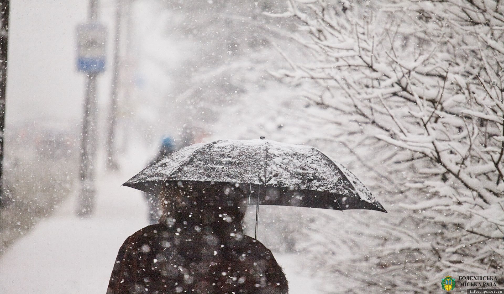 Мокрий сніг та дощ: прогноз погоди на 6 грудня