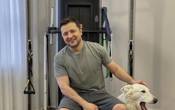 Петя и Нора: что известно о собаках президента Зеленского (фото)