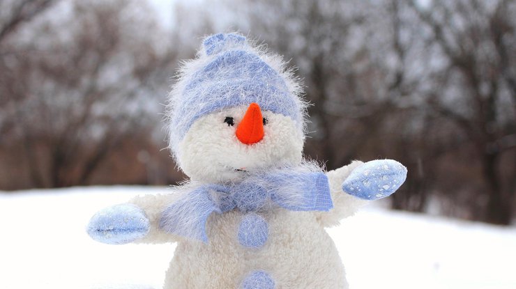 У другій половині грудня до України прийде сніг і мороз - синоптик