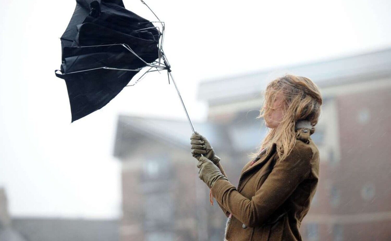 Тепло и сильный ветер: прогноз погоды на 31 декабря