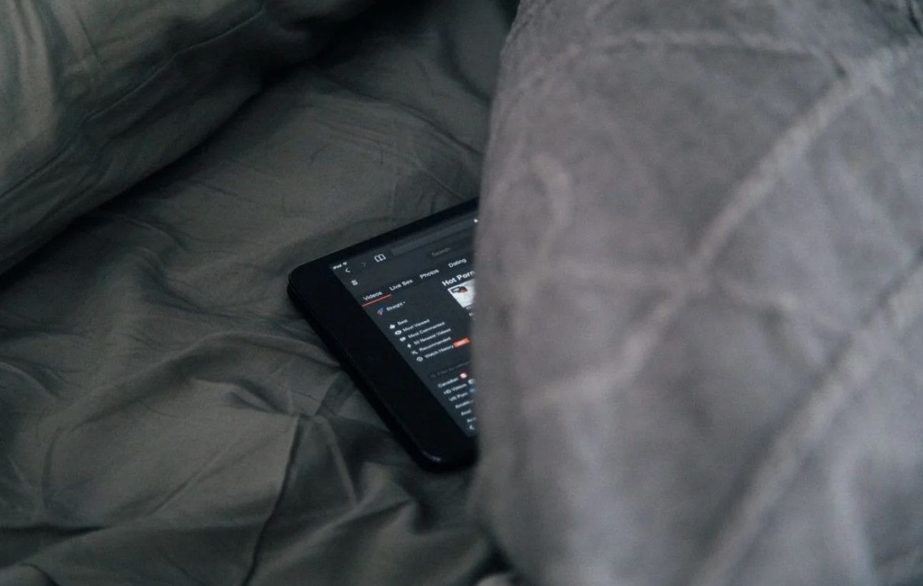 Правоохоронний комітет ВР підтримав законопроєкт про декриміналізацію порно