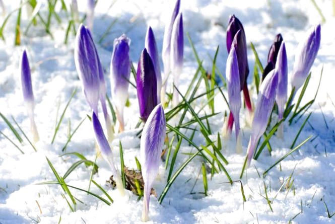 Будет ли февраль лютым: синоптики дали первые прогнозы на последний месяц зимы