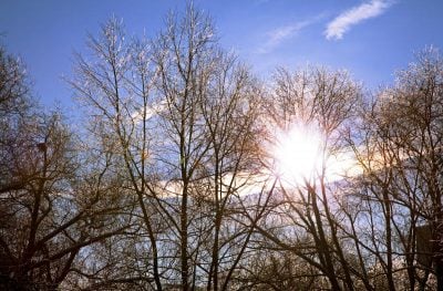 Аномально теплой будет погода в Украине 20 января