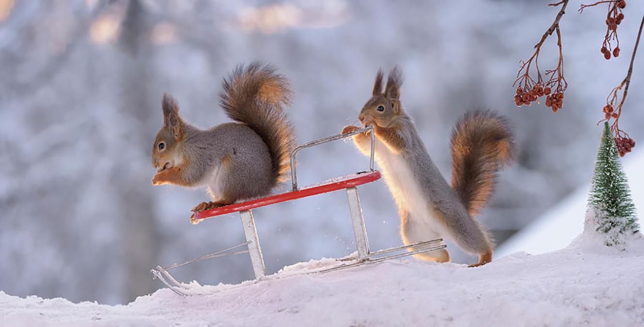 Синоптики передбачають менше опадів та теплішу погоду: яким буде лютий в Україні