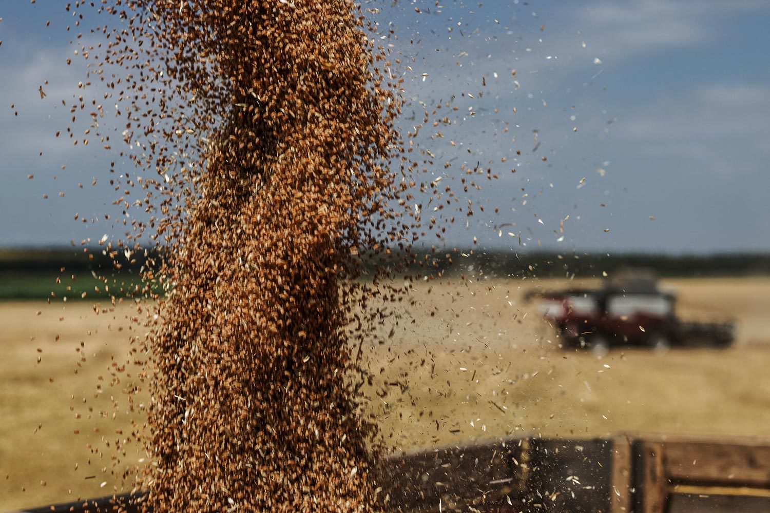 Украинский зернотрейдер Роман Терещенко вывел $3 миллиона через портал OnlyFans