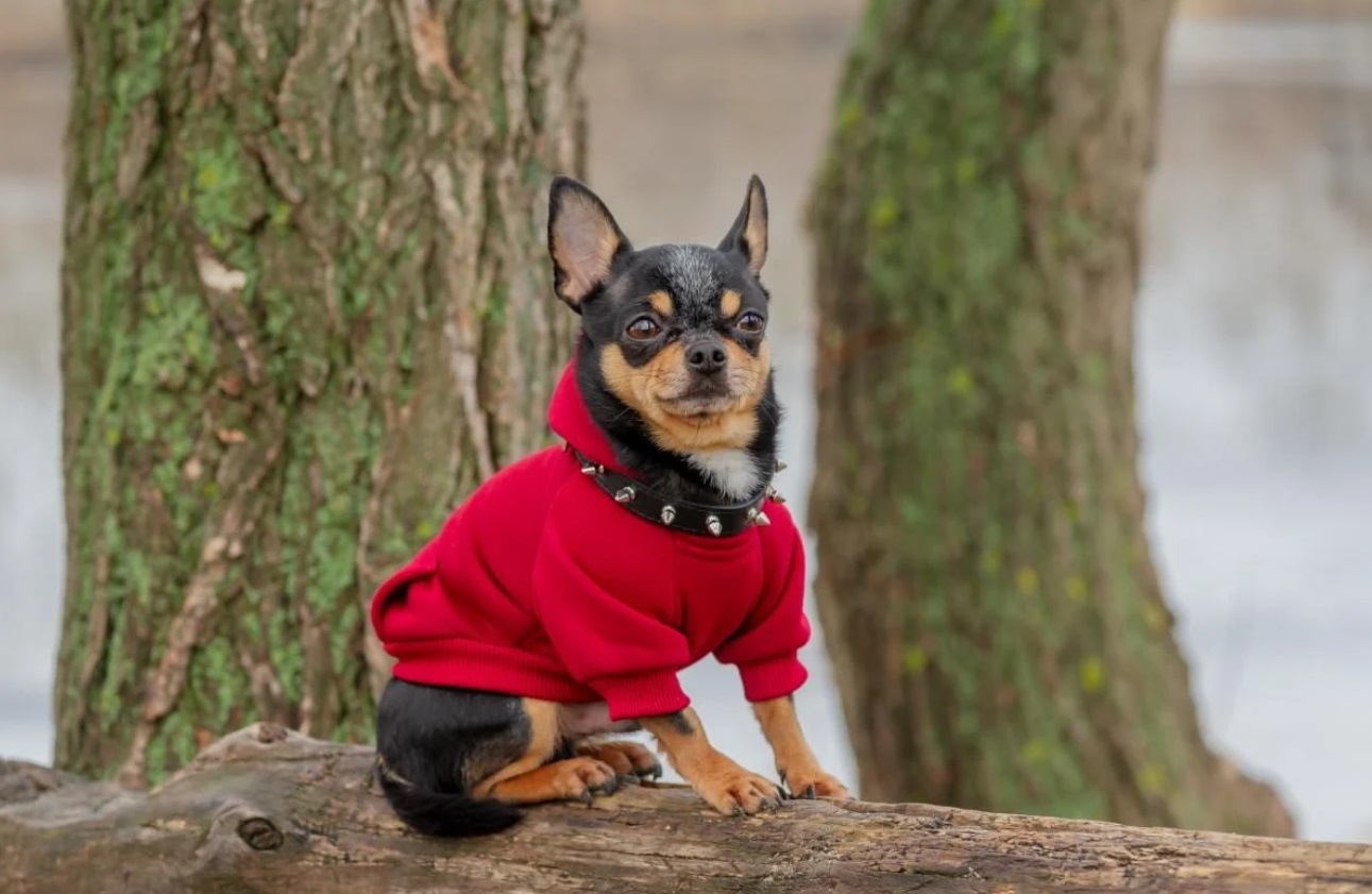 На Україну насувається різке похолодання: зниження температури до -9°C