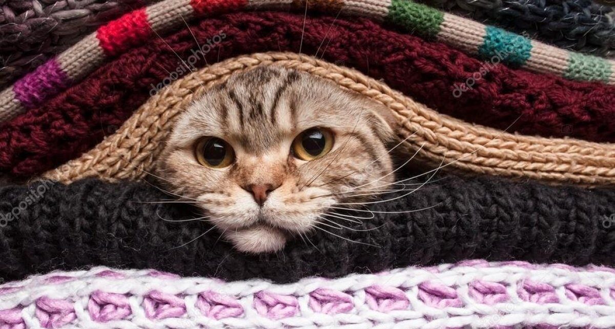 Синоптикиня попередила про сильний мороз в Україні та небезпеку переохолодження