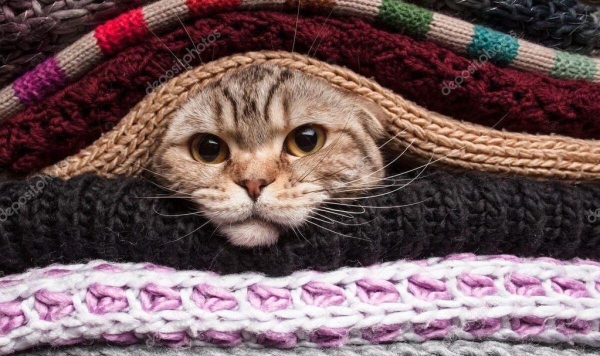 Морозы ночью и потепление днем: какой будет погода в Украине 2 февраля