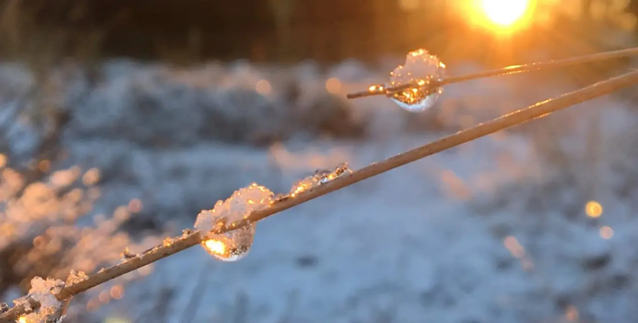 В Украине идет потепление до +16°C: когда ожидается весеннее тепло