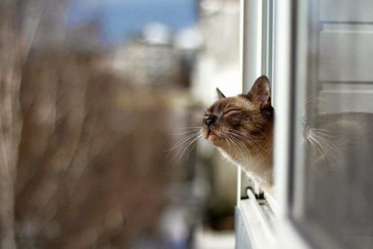 Перший місяць весни буде теплим: синоптики дали прогноз на березень