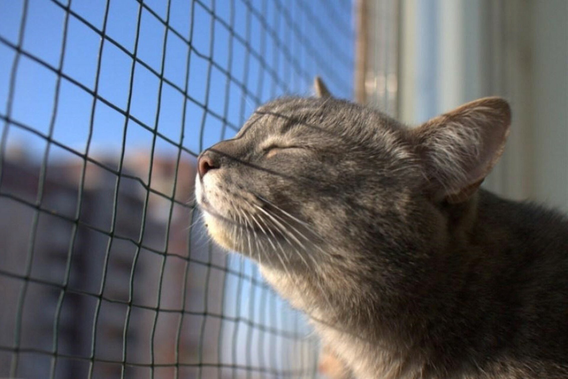 В Україну йде потепління: якою буде погода 27 лютого