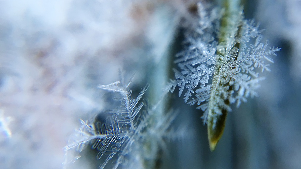 Морозы не отступают: какой будет погода в Украине 12 февраля