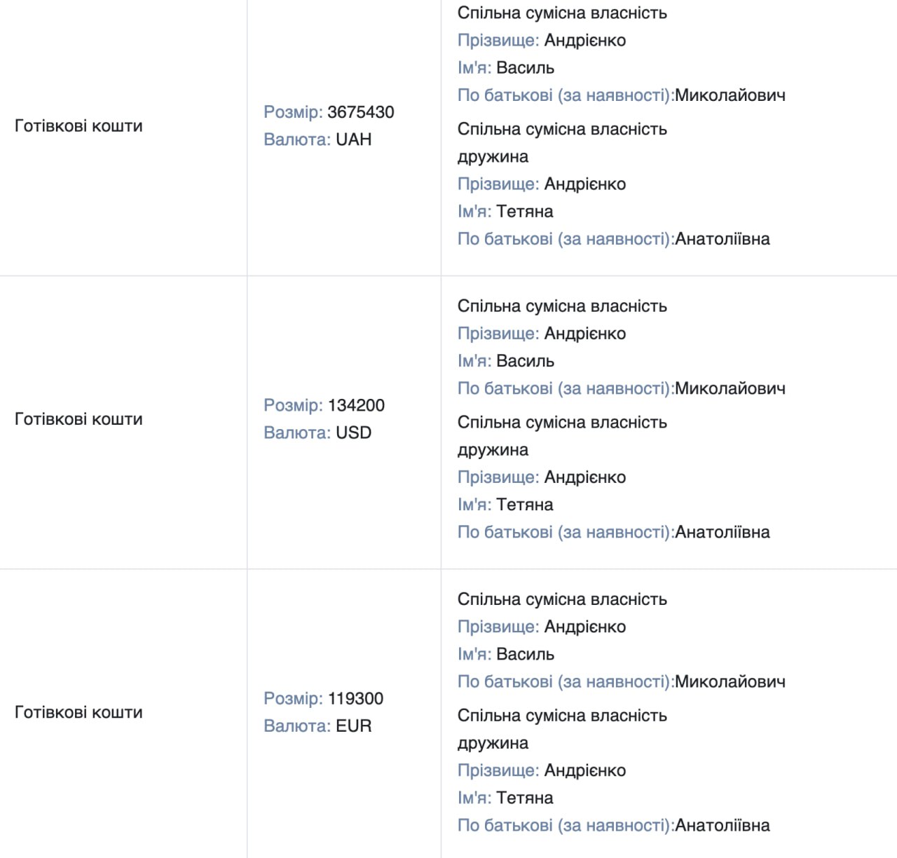 Директор «Укрінтеренерго» Василь Андрієнко став об'єктом перевірки через мільйонні готівкові активи та незадеклароване майно