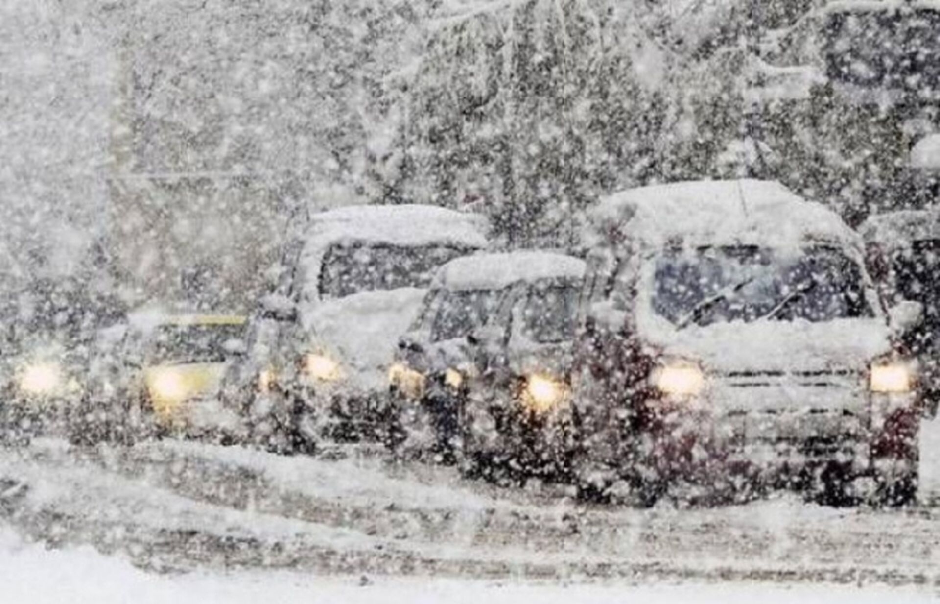 В Украину идут мощные снегопады: когда и где ждать непогоды