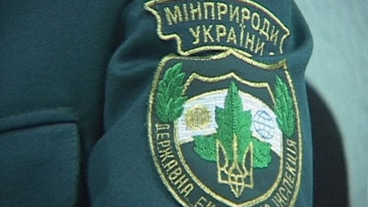 Сын экс-чиновника времен Януковича Игорь Семиног занял высокий пост в Госэкоинспекции