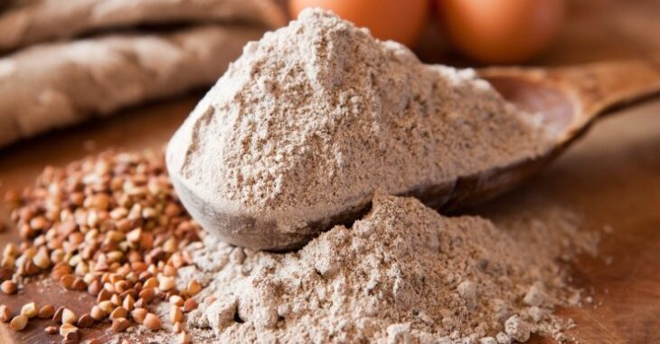 У Європі дозволили додавати порошок борошняних хробаків у продукти харчування