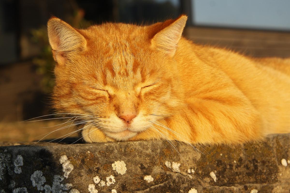 В Украине начнется весеннее потепление: температура от -16 до +10 градусов и мокрый снег в начале марта