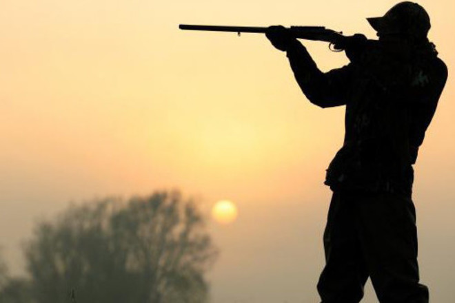 Руководство Южного межрегионального управления лесного и охотничьего хозяйства "зарабатывало" на желающих получить удостоверение охотника (видео)