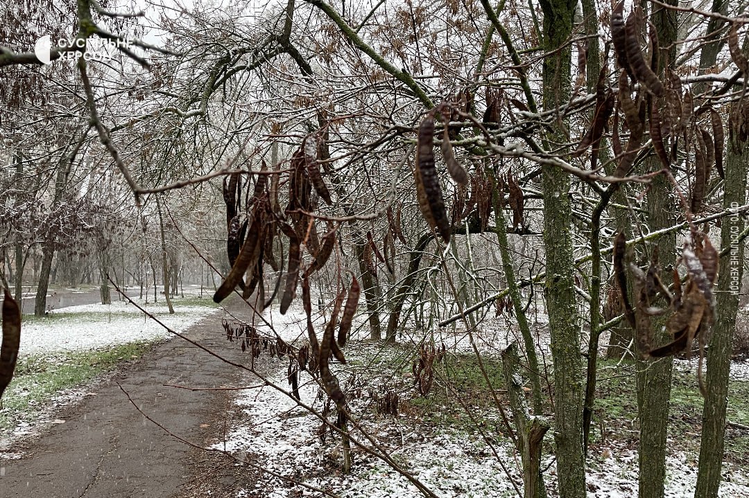 В Україні повернулася зима: сніг і похолодання охопили кілька областей (фото)