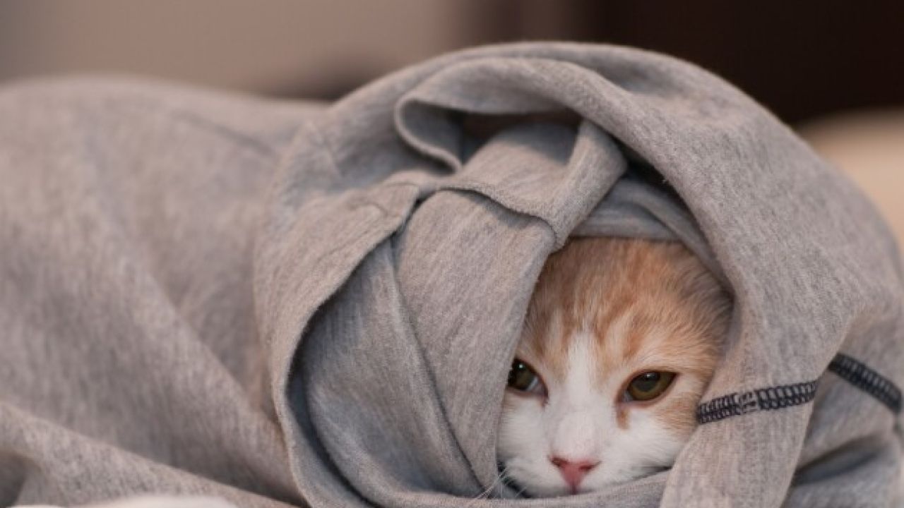 Похолодання та високий атмосферний тиск: якою буде погода в Україні 9 лютого