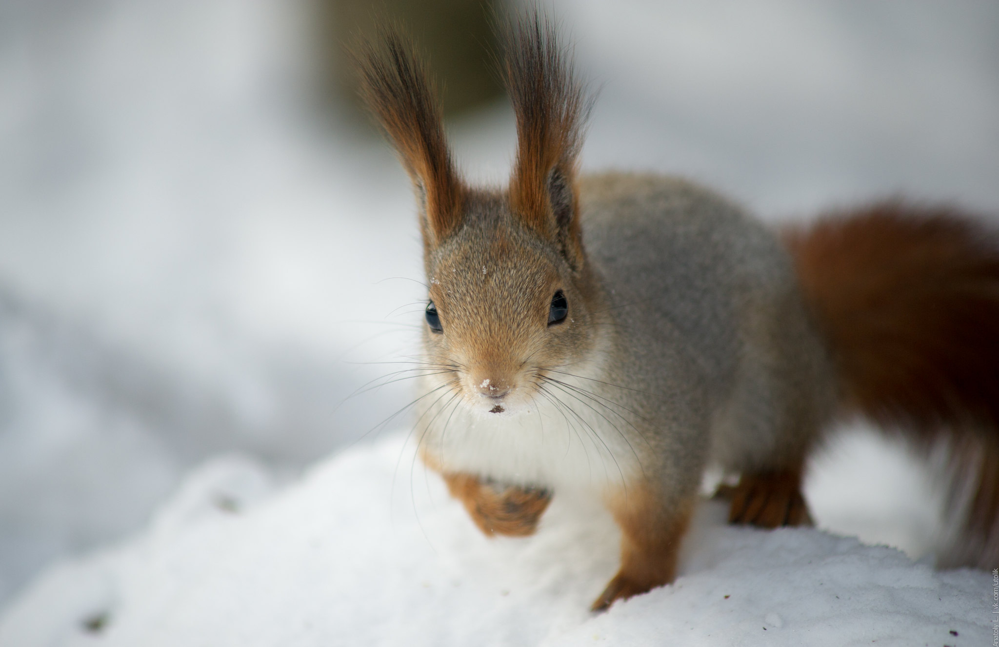 Погода в Украине начнет теплеть: синоптики прогнозируют постепенное повышение температуры