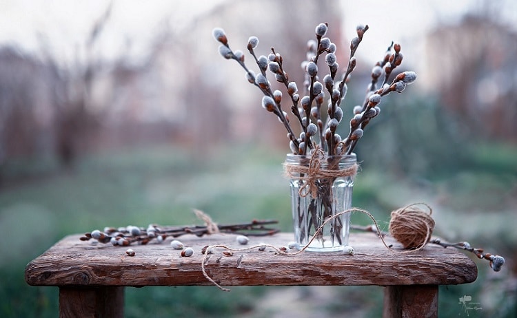 Рабочие и праздничные дни марта: как будут работать и отдыхать украинцы в начале весны