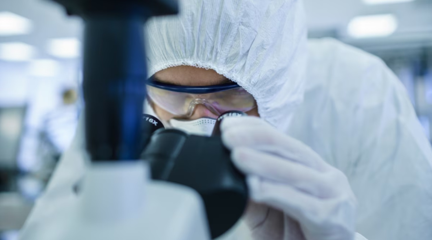 У Китаї виявили новий вірус від кажанів, здатний заражати людей